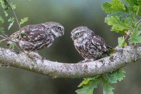 开云体育官网登入-体育新闻中心上线体育短视频趋势预测平台，体育新闻网站推荐