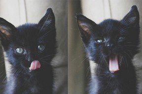 开云体育登录-“2025世界运动会：运动舞蹈赛事，音乐激发创意，舞步演绎无尽可能”