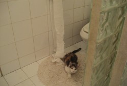 开云体育-世界体能挑战赛中国战队团结进取，体能世界纪录