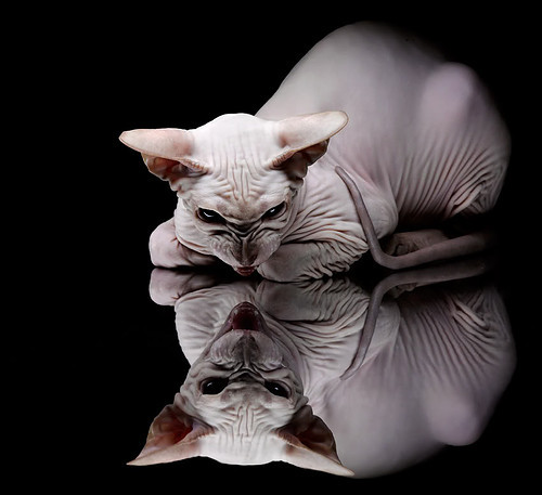 中国足球俱乐部新引援激发球队活力，中国足球引进外援参与国际赛事